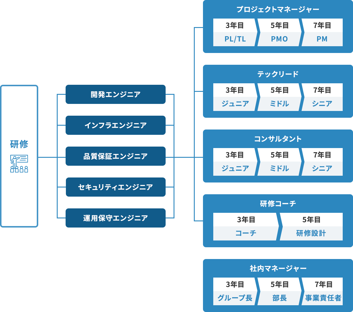 入社後のキャリアアップイメージ
